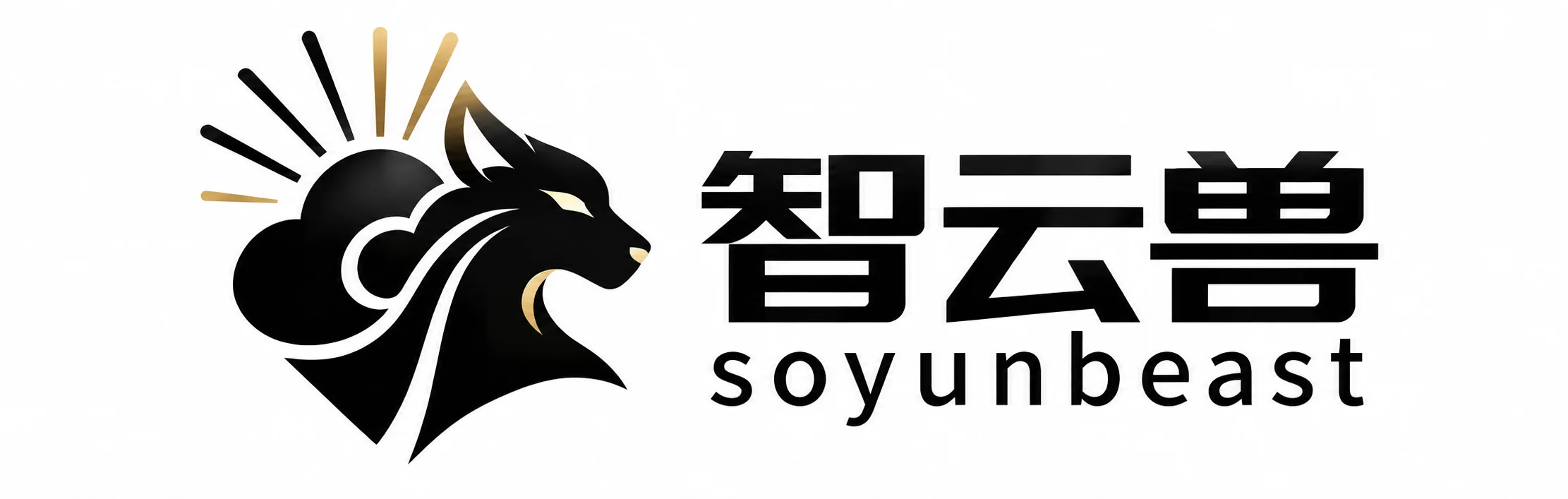Soyunbeast | Photography & Live‑Streaming Lighting Manufacturer